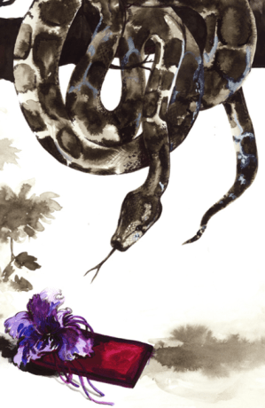 Pablo Piatti - GUCCI clutch & Burmess python